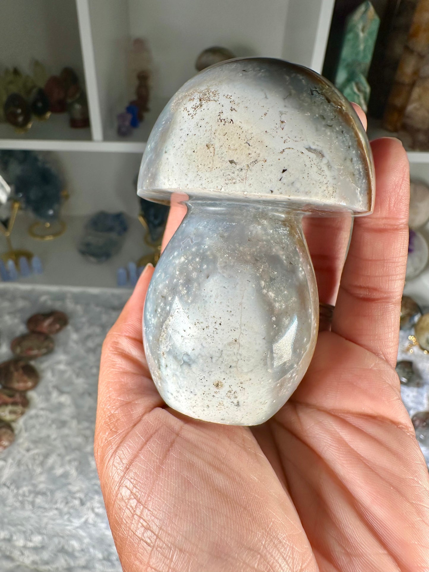 Ocean Jasper Mushroom