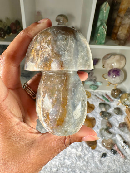 Ocean Jasper Mushroom