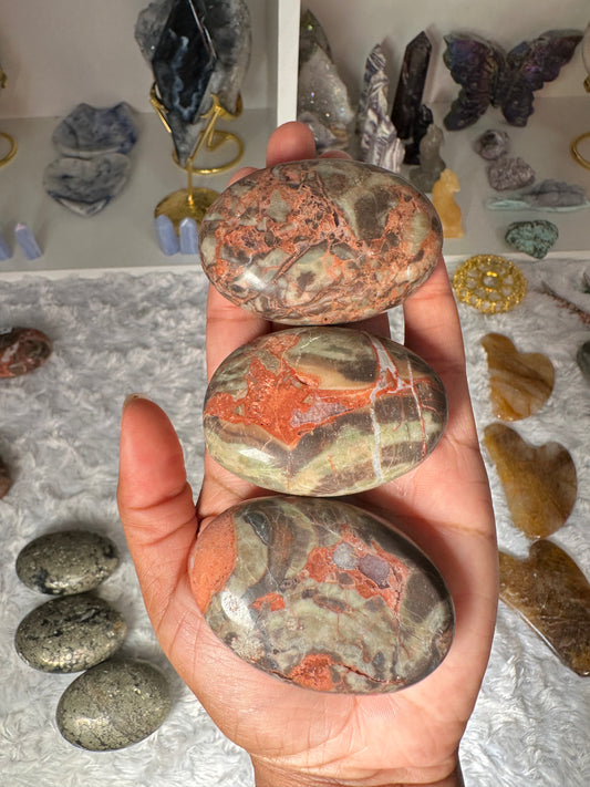 Money Agate Palm Stone